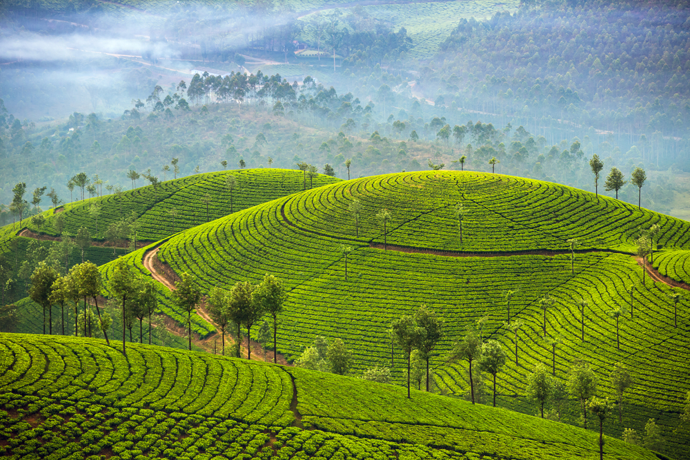 Kerala Tour Packages