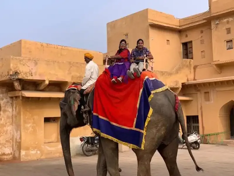 Jaipur City Tour and Amber Fort