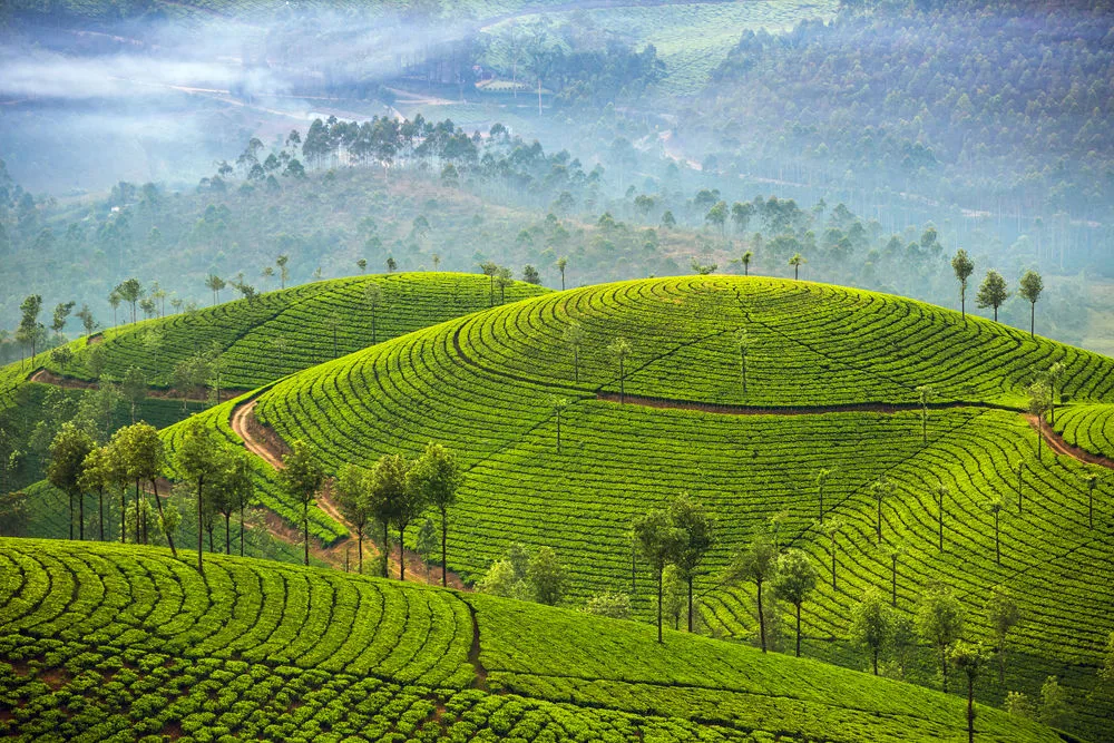 Royal Karnataka and Serene Kerala